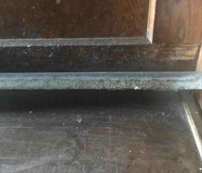 Mold on a foot rail at the bottom of a bar.
